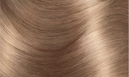 Haircolor 81 Light Ash Blonde Excellence Creme Hair Swatch