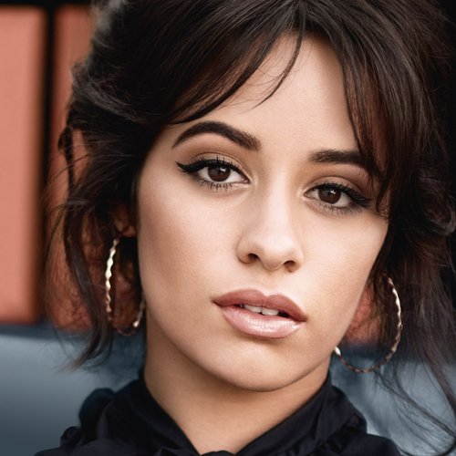 Camila Cabello Brow Artist High Contour Hero