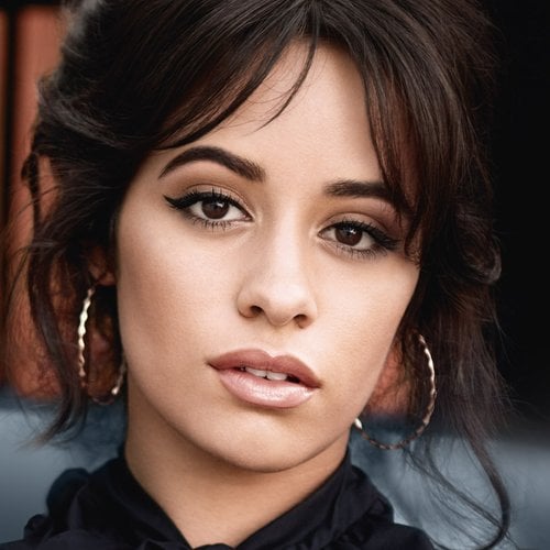 Camila Cabello Brow Artist High Contour Hero