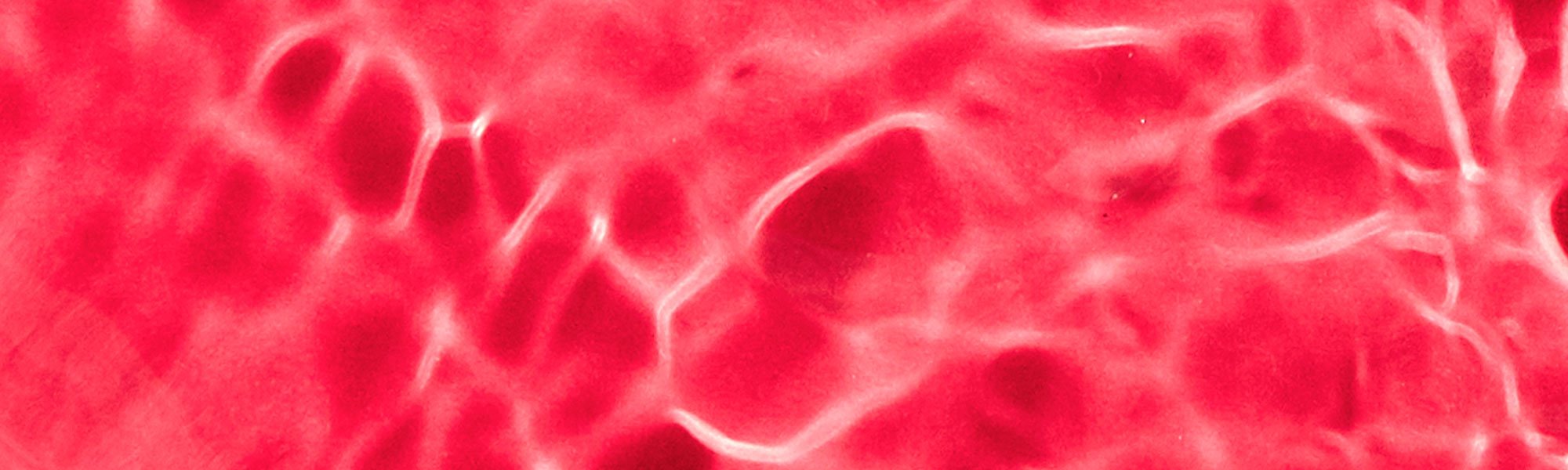 Glycolic Acid Product Push 2000x900